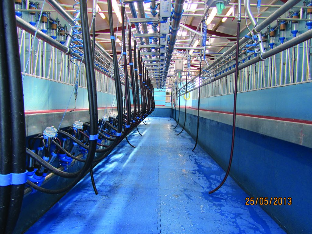 Herringbone Cookstown Dairy Services