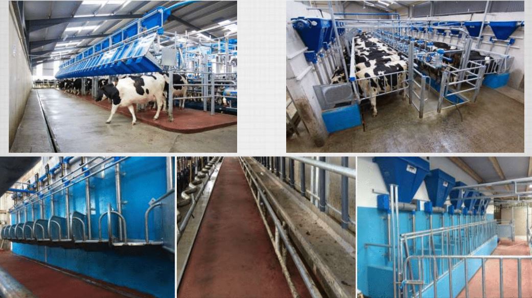 Installation Cookstown Dairy Services